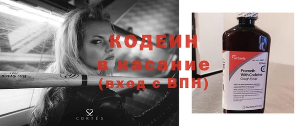 сатива Арсеньев
