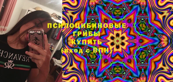 ГАЛЛЮЦИНОГЕННЫЕ ГРИБЫ Баксан