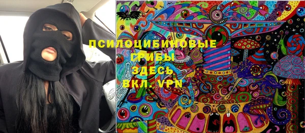 сатива Арсеньев