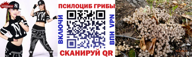 blacksprut вход Радужный Псилоцибиновые грибы Psilocybine cubensis